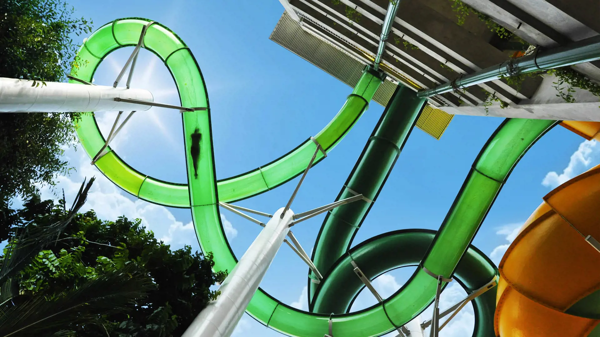 Green Vipers at Waterbom Bali